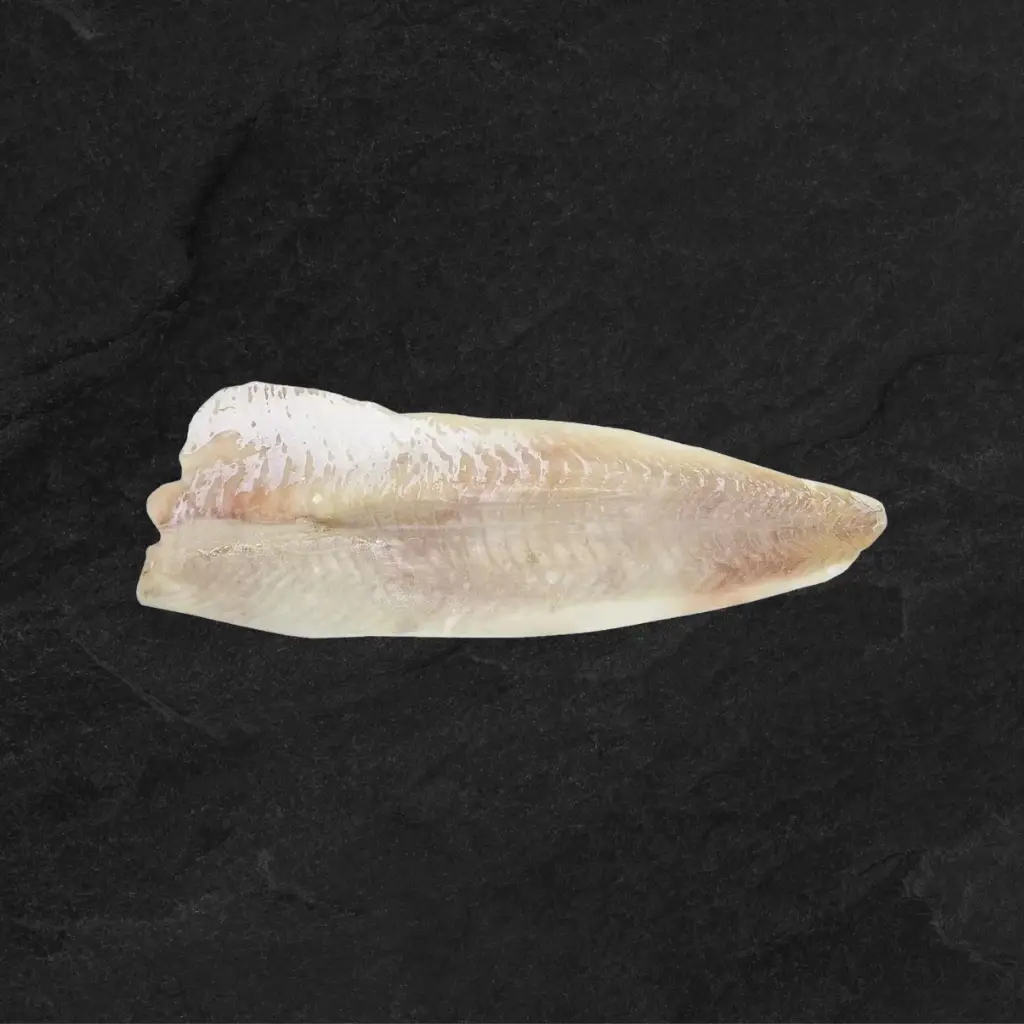 Šaldyta Ledjurio Menkės filė be odos, 400-800g, be glazūros., ~9kg (IS)