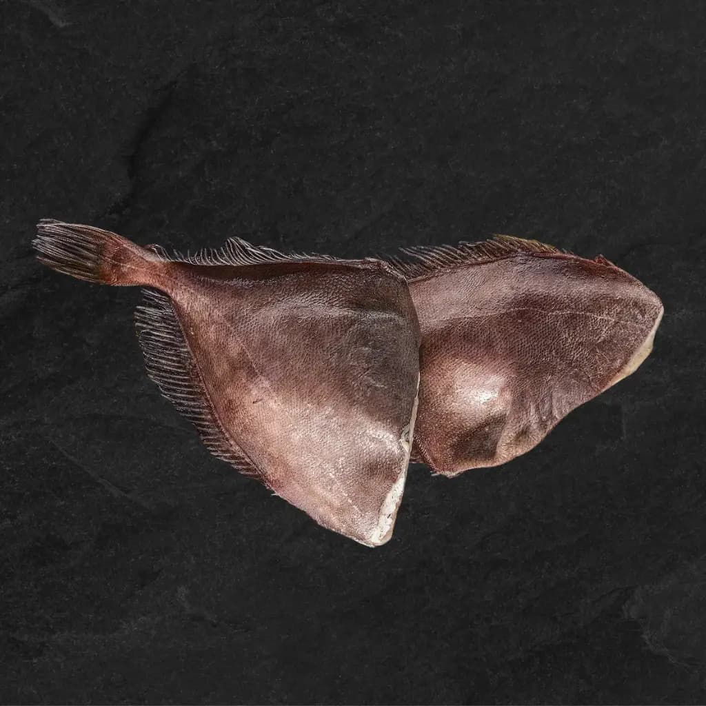 Šaldytas Juodasis paltusas be galvos, išdarinėtas., 2-3kg, be glazūros. ~50kg. (NO)